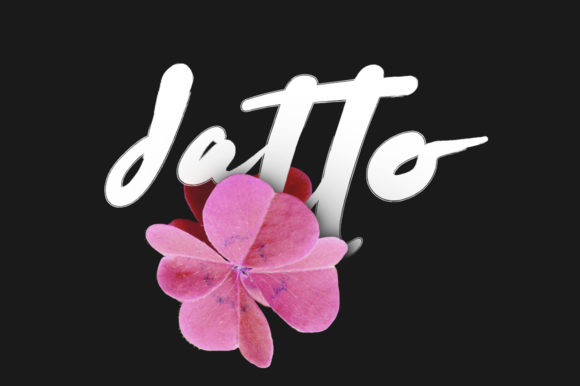 Datto Typeface Review: A Handwritten Script for Modern Branding