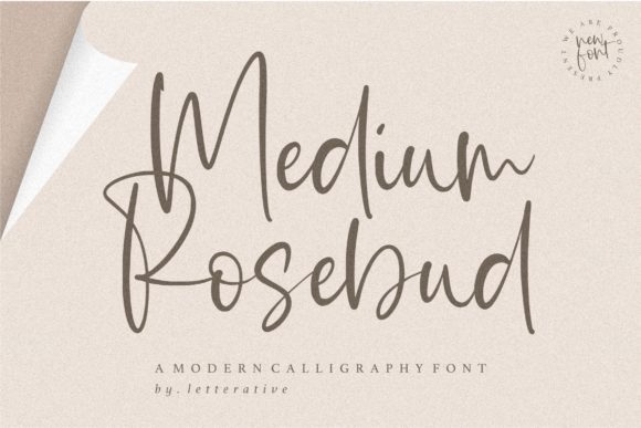 Medium Rosebud: A Handwritten Font for Distinct Brand Visuals