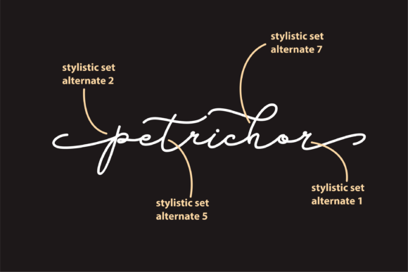 Petrichor: The Elegant Script Handwritten Font for Professional Branding