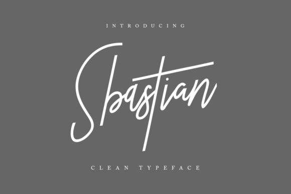 Sbastian: The Delicate Handwritten Font for Polished Brand Identity